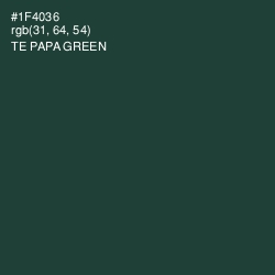 #1F4036 - Te Papa Green Color Image
